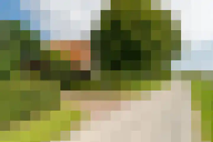 Slappeterpsterdyk 5 Skingen thumbnail 6