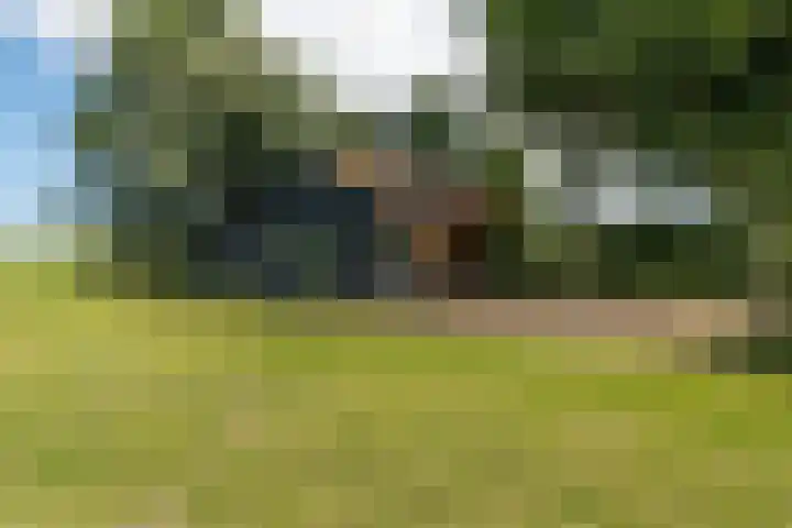 Slappeterpsterdyk 5 Skingen thumbnail 60