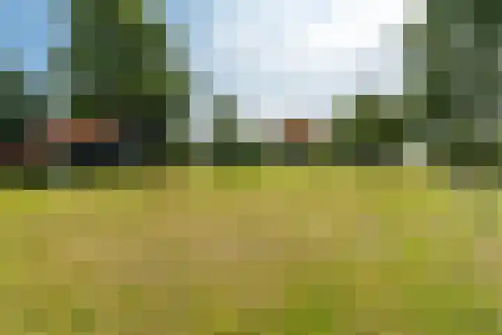 Slappeterpsterdyk 5 Skingen thumbnail 61