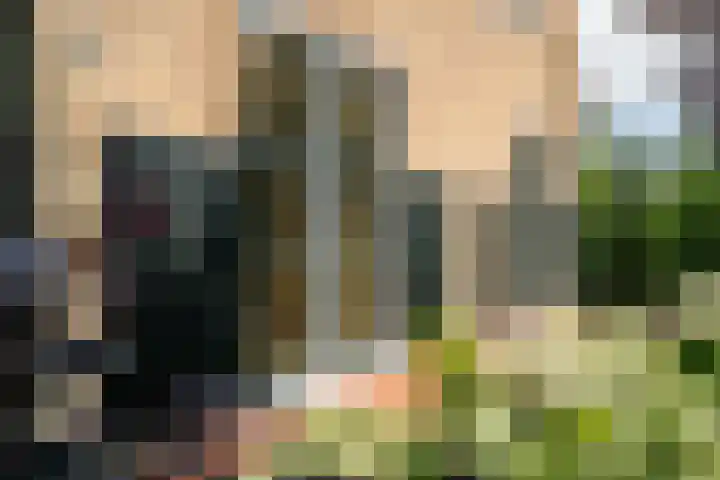 Slappeterpsterdyk 5 Skingen thumbnail 62