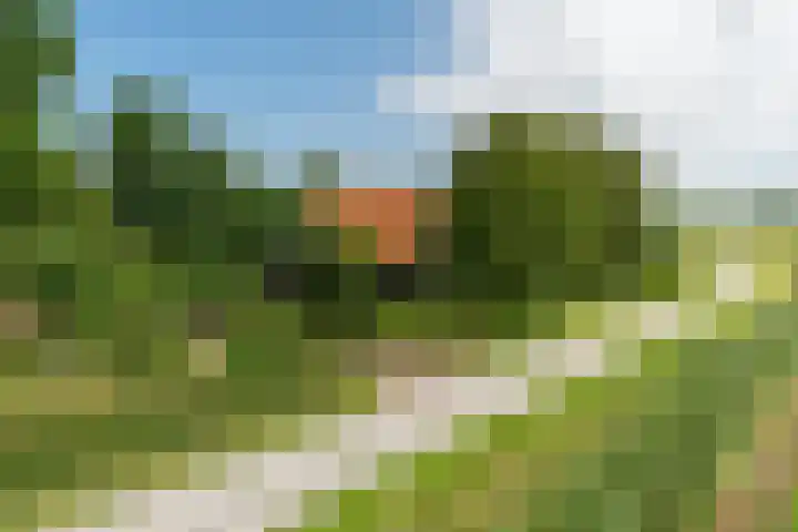 Slappeterpsterdyk 5 Skingen thumbnail 63