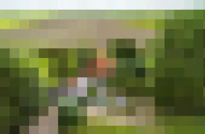 Slappeterpsterdyk 5 Skingen thumbnail 64