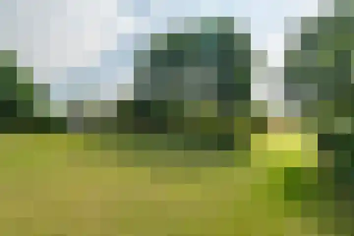 Slappeterpsterdyk 5 Skingen thumbnail 66