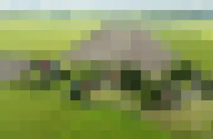 Slappeterpsterdyk 5 Skingen thumbnail 67