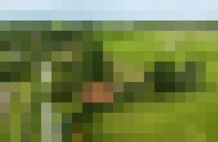 Slappeterpsterdyk 5 Skingen thumbnail 68