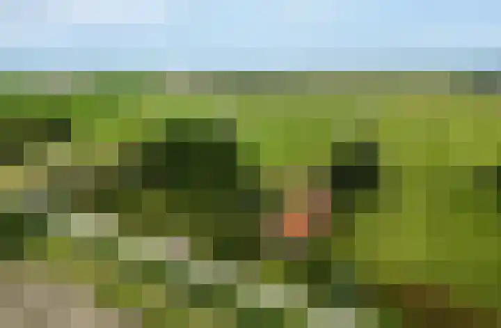 Slappeterpsterdyk 5 Skingen thumbnail 69