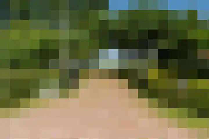 Slappeterpsterdyk 5 Skingen thumbnail 7