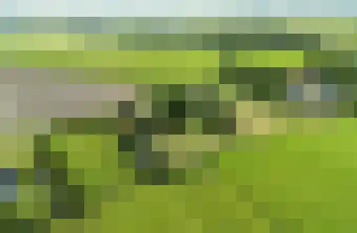 Slappeterpsterdyk 5 Skingen thumbnail 70
