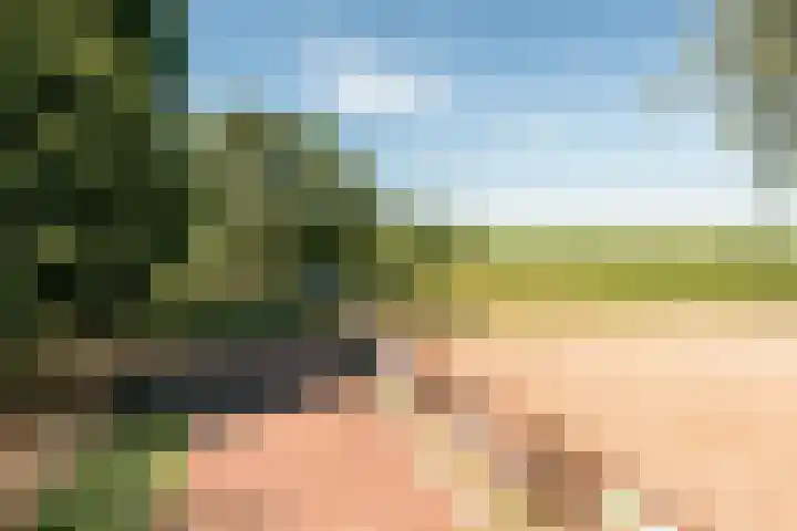 Slappeterpsterdyk 5 Skingen thumbnail 71