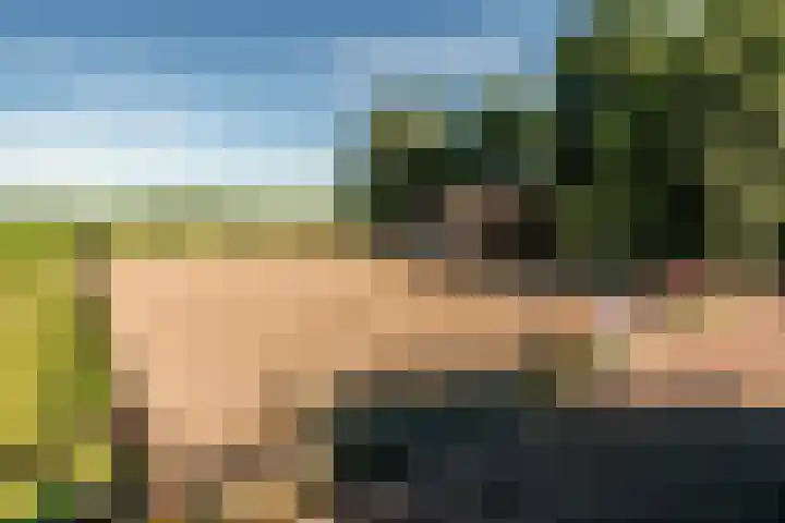 Slappeterpsterdyk 5 Skingen thumbnail 72