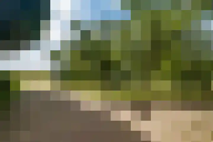 Slappeterpsterdyk 5 Skingen thumbnail 8