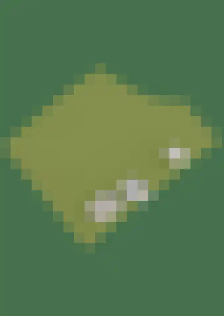 Slappeterpsterdyk 5 Skingen thumbnail 86