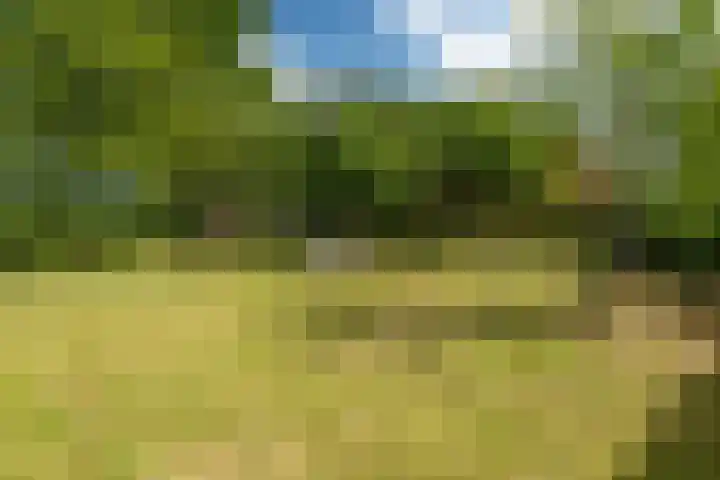 Slappeterpsterdyk 5 Skingen thumbnail 9