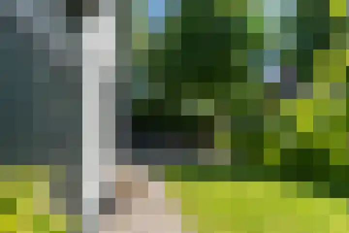 Slathstraat 15 Epe thumbnail 5