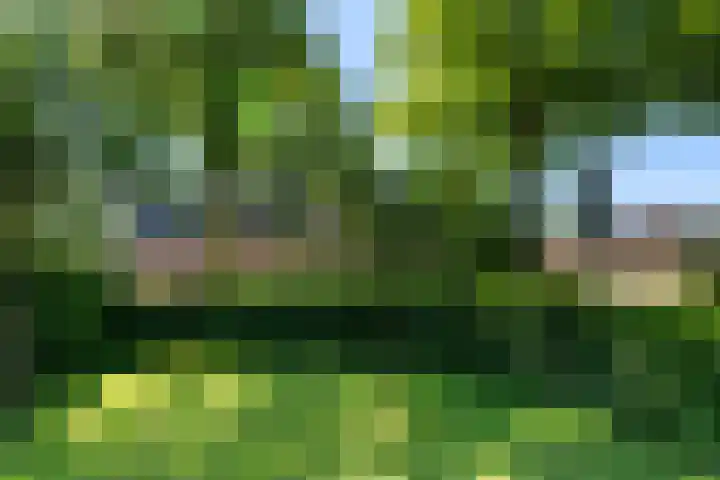 Slathstraat 15 Epe thumbnail 6