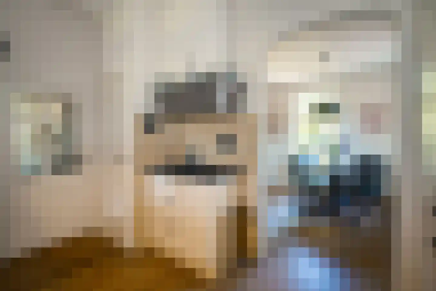 Slathstraat 6 Epe thumbnail 11