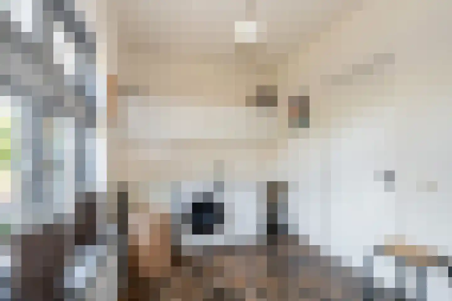 Slathstraat 6 Epe thumbnail 15