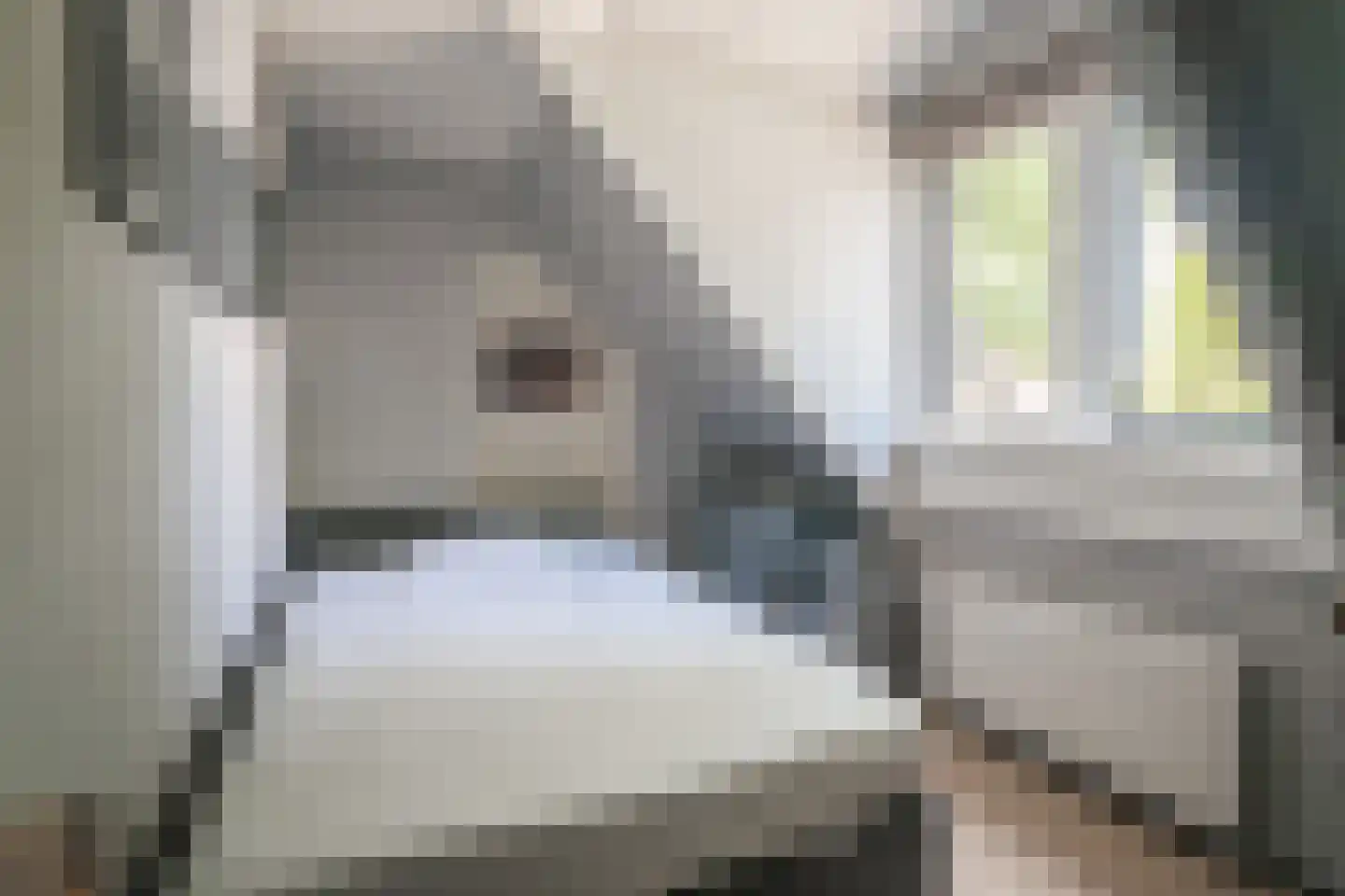 Slathstraat 6 Epe thumbnail 23