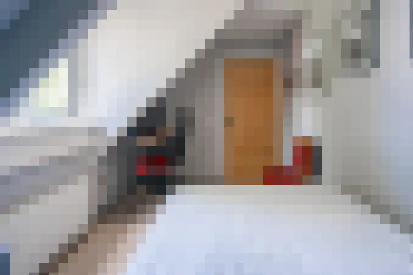 Slathstraat 6 Epe thumbnail 24