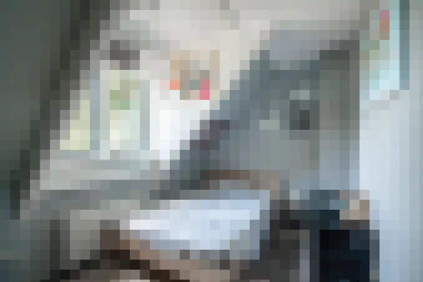 Slathstraat 6 Epe thumbnail 29