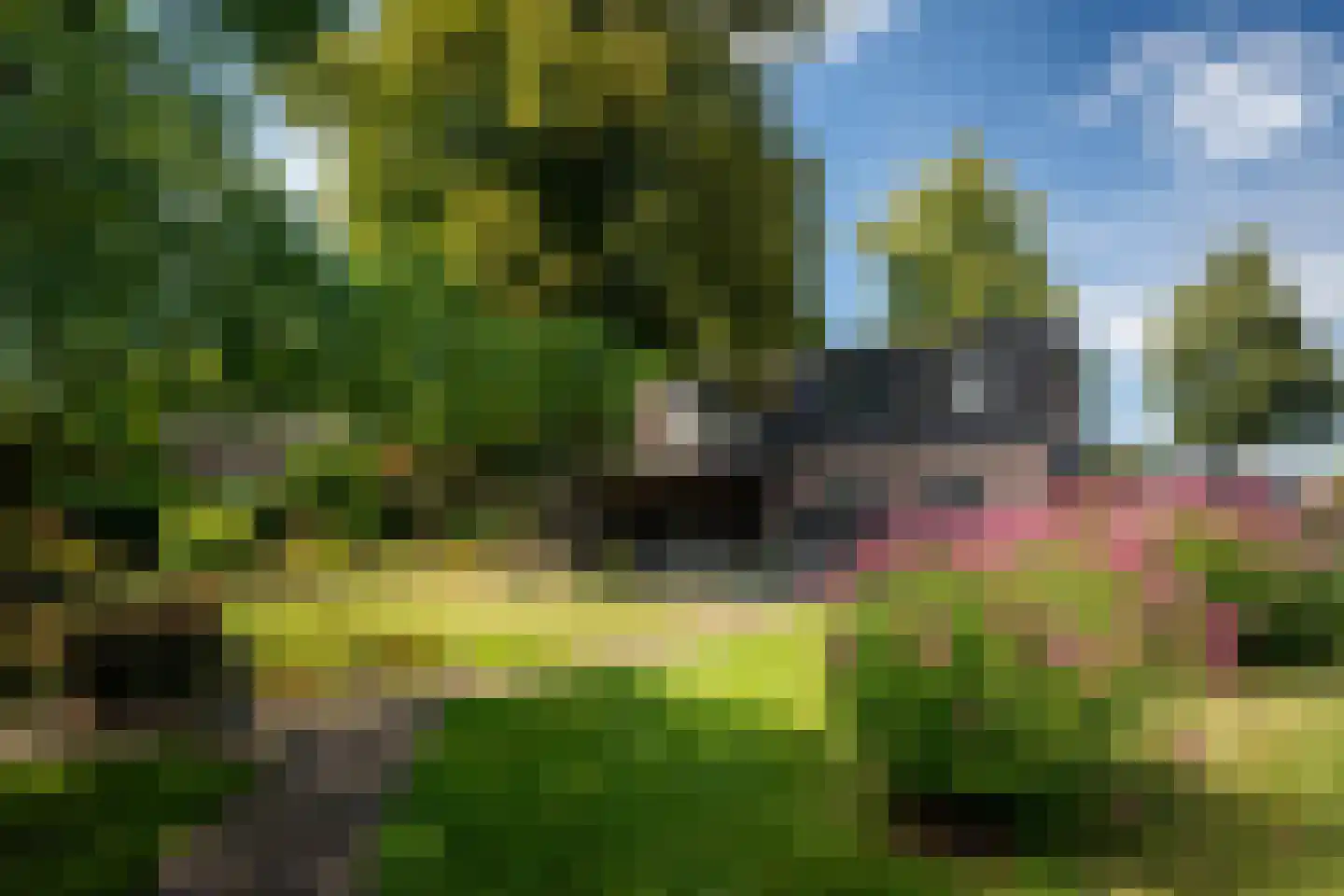 Slathstraat 6 Epe thumbnail 33