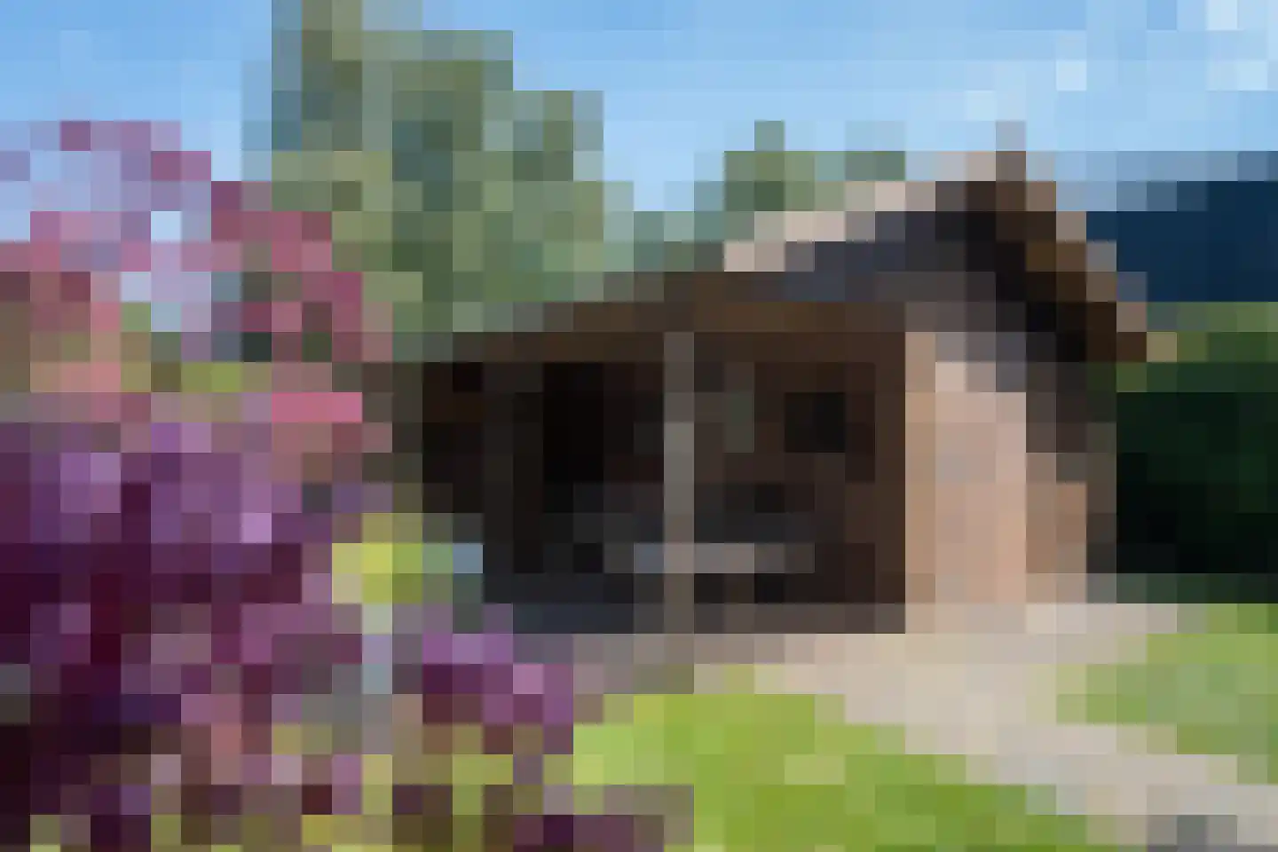 Slathstraat 6 Epe thumbnail 34