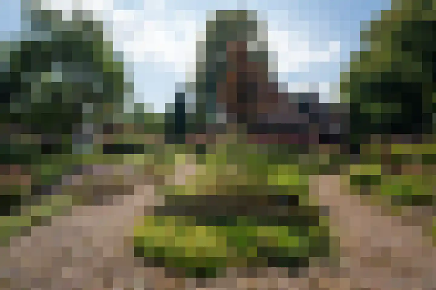 Slathstraat 6 Epe thumbnail 37
