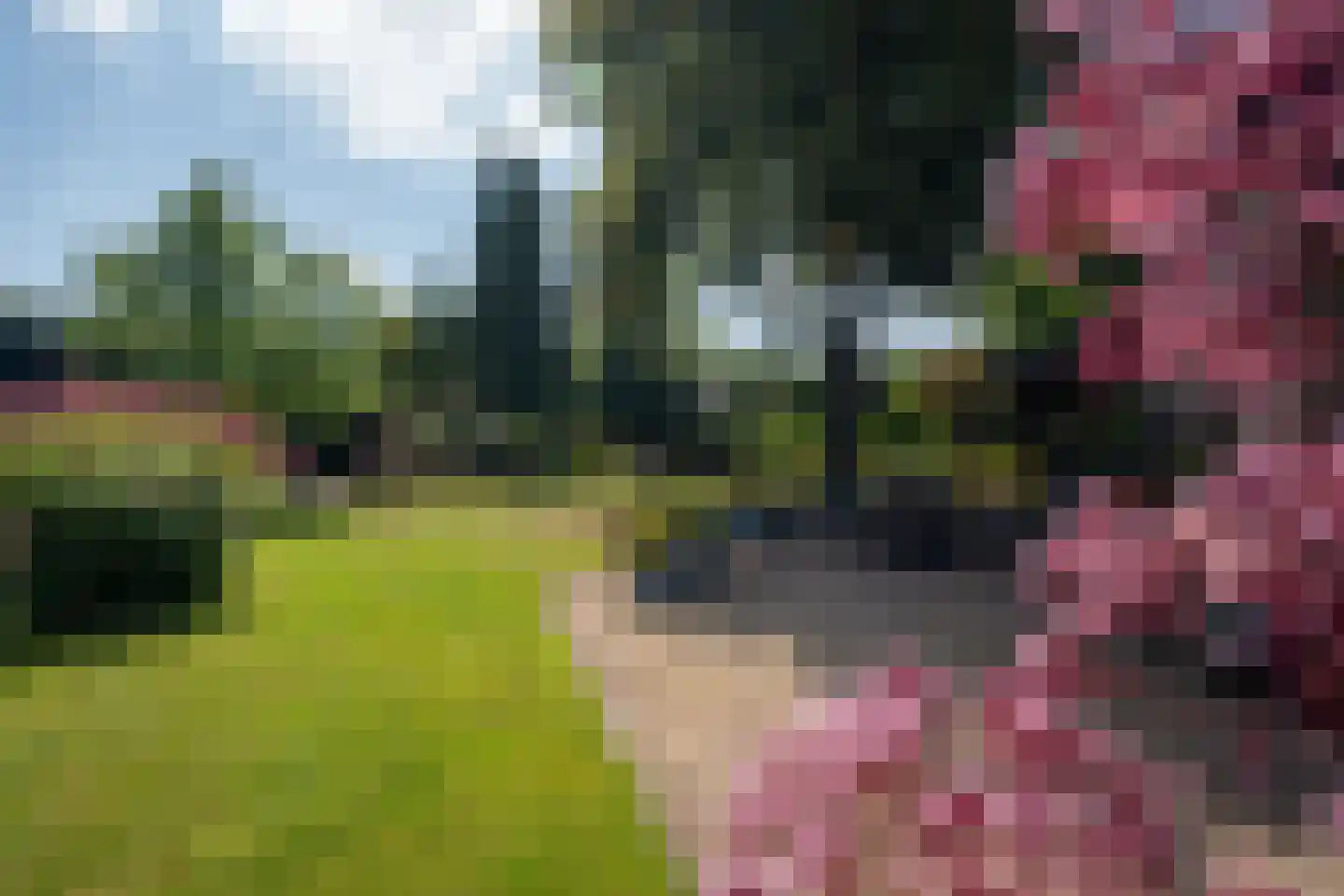 Slathstraat 6 Epe thumbnail 4