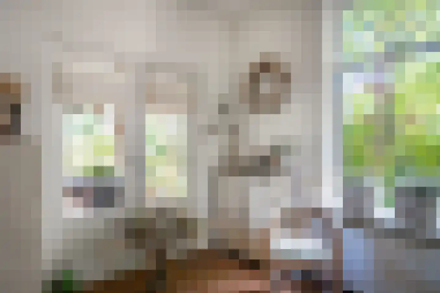 Slathstraat 6 Epe thumbnail 8