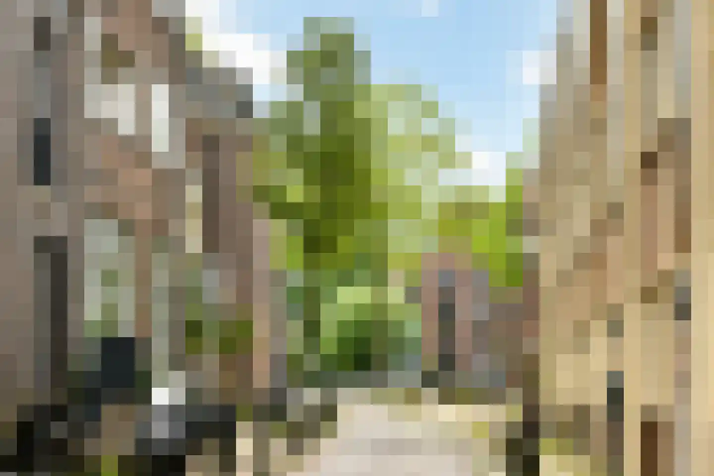 Slatuinenweg 19 Amsterdam thumbnail 25