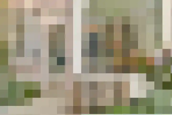 Slatuinenweg 65 Amsterdam thumbnail 9