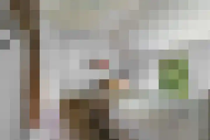 Slatweg 15 Hall thumbnail 26