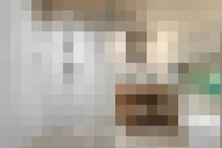 Slatweg 15 Hall thumbnail 28