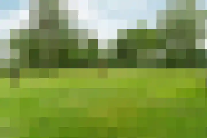 Slatweg 15 Hall thumbnail 4