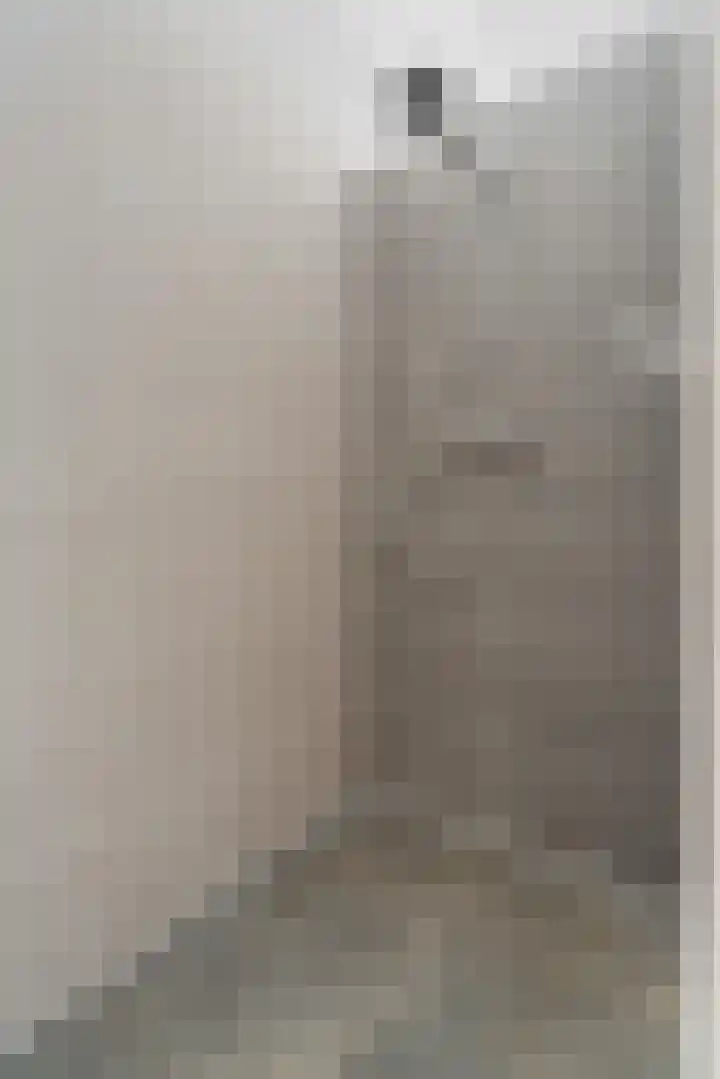 Slatweg 15 Hall thumbnail 45