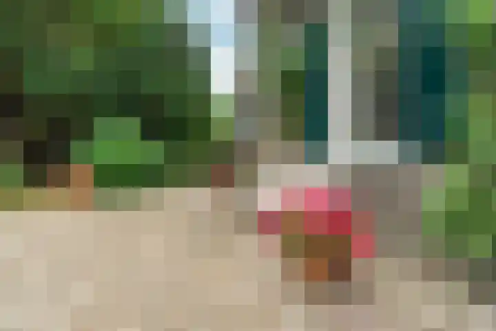 Slatweg 15 Hall thumbnail 51