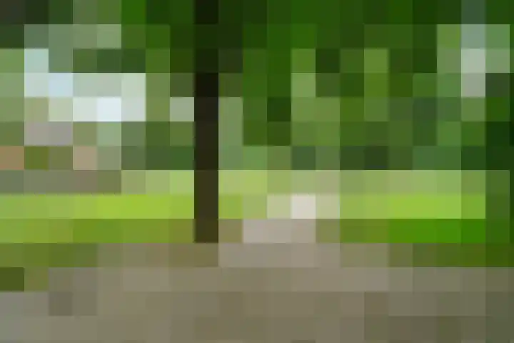 Slatweg 15 Hall thumbnail 55