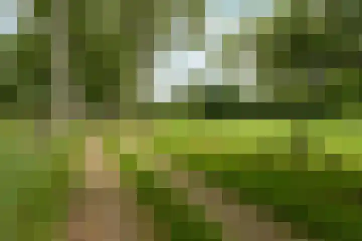 Slatweg 15 Hall thumbnail 61