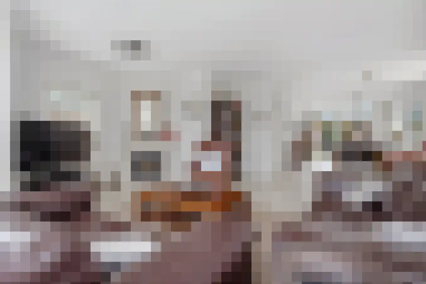 Slauerhofflaan 1 c Raamsdonksveer thumbnail 11