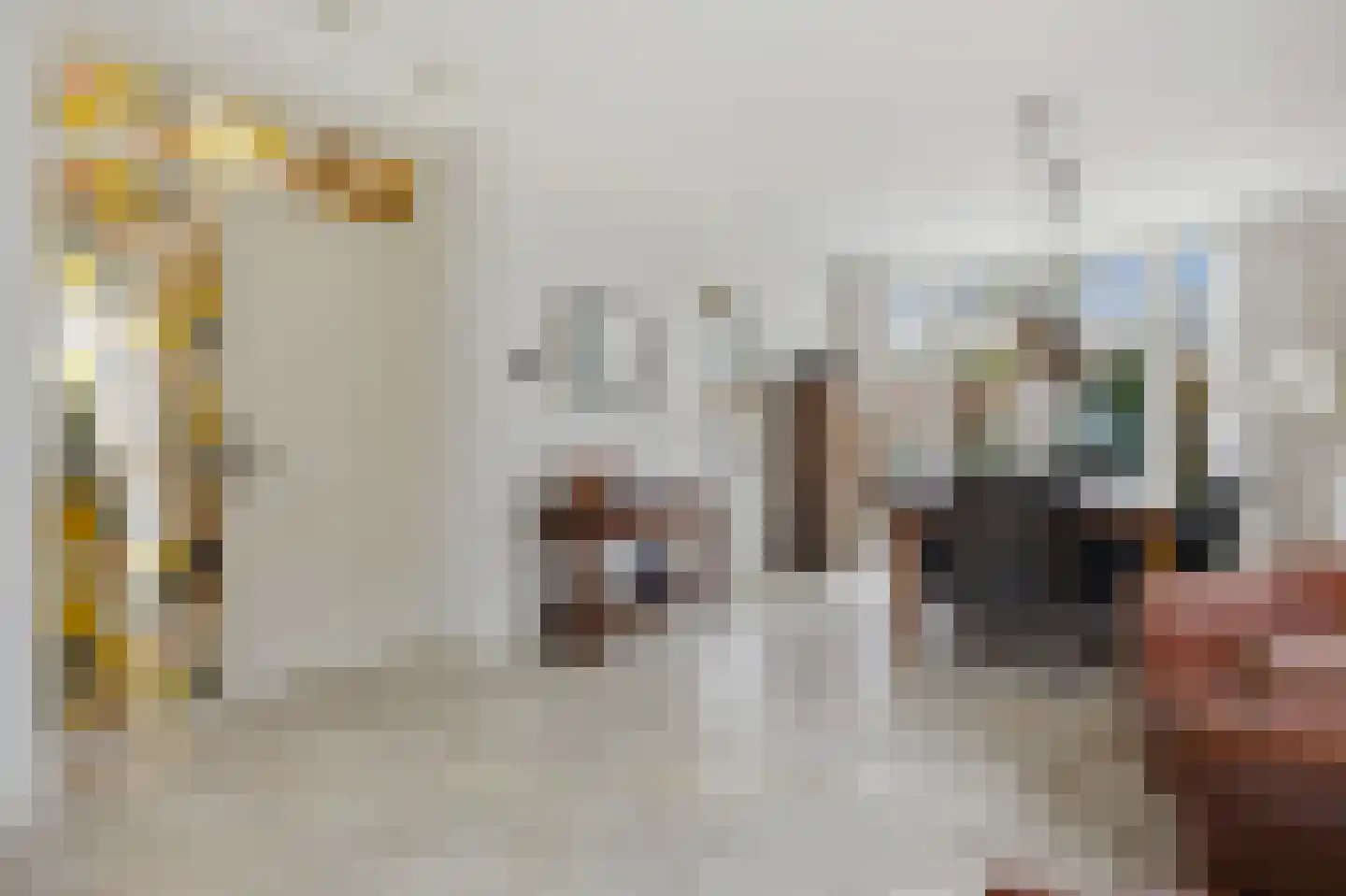 Slauerhofflaan 1 c Raamsdonksveer thumbnail 12