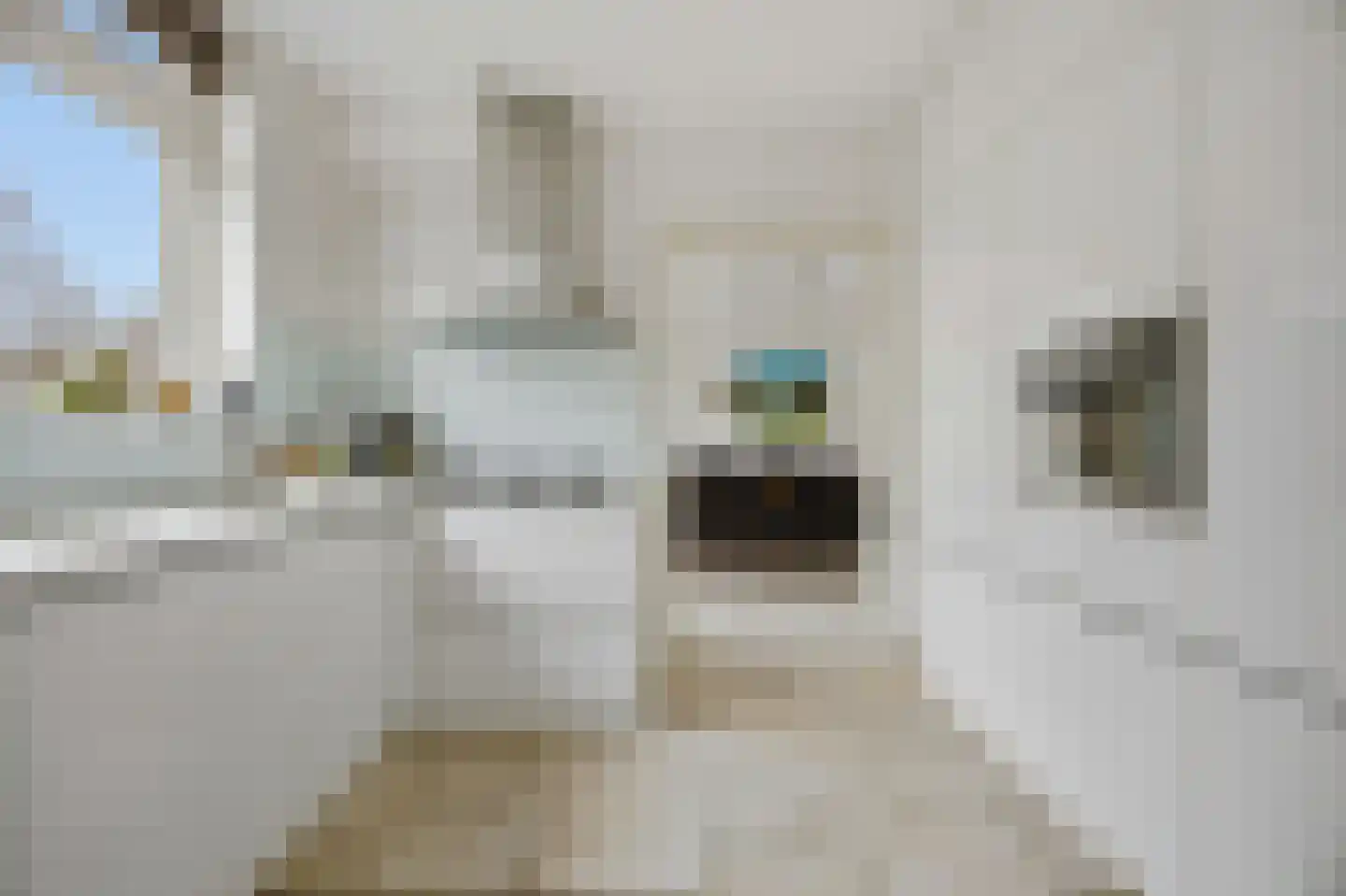 Slauerhofflaan 1 c Raamsdonksveer thumbnail 15