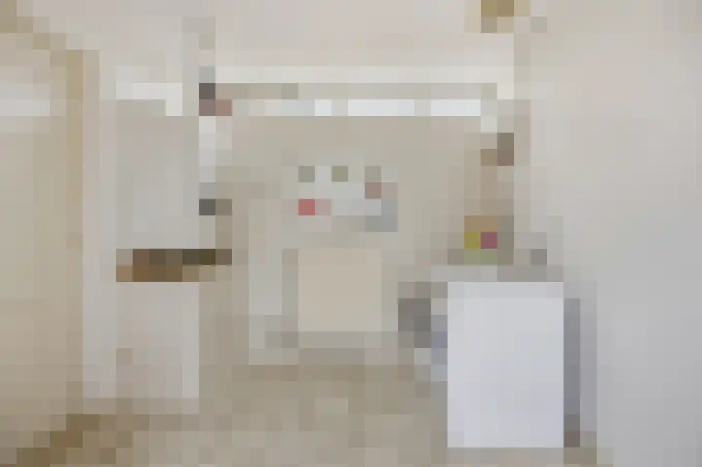 Slauerhofflaan 1 c Raamsdonksveer thumbnail 18
