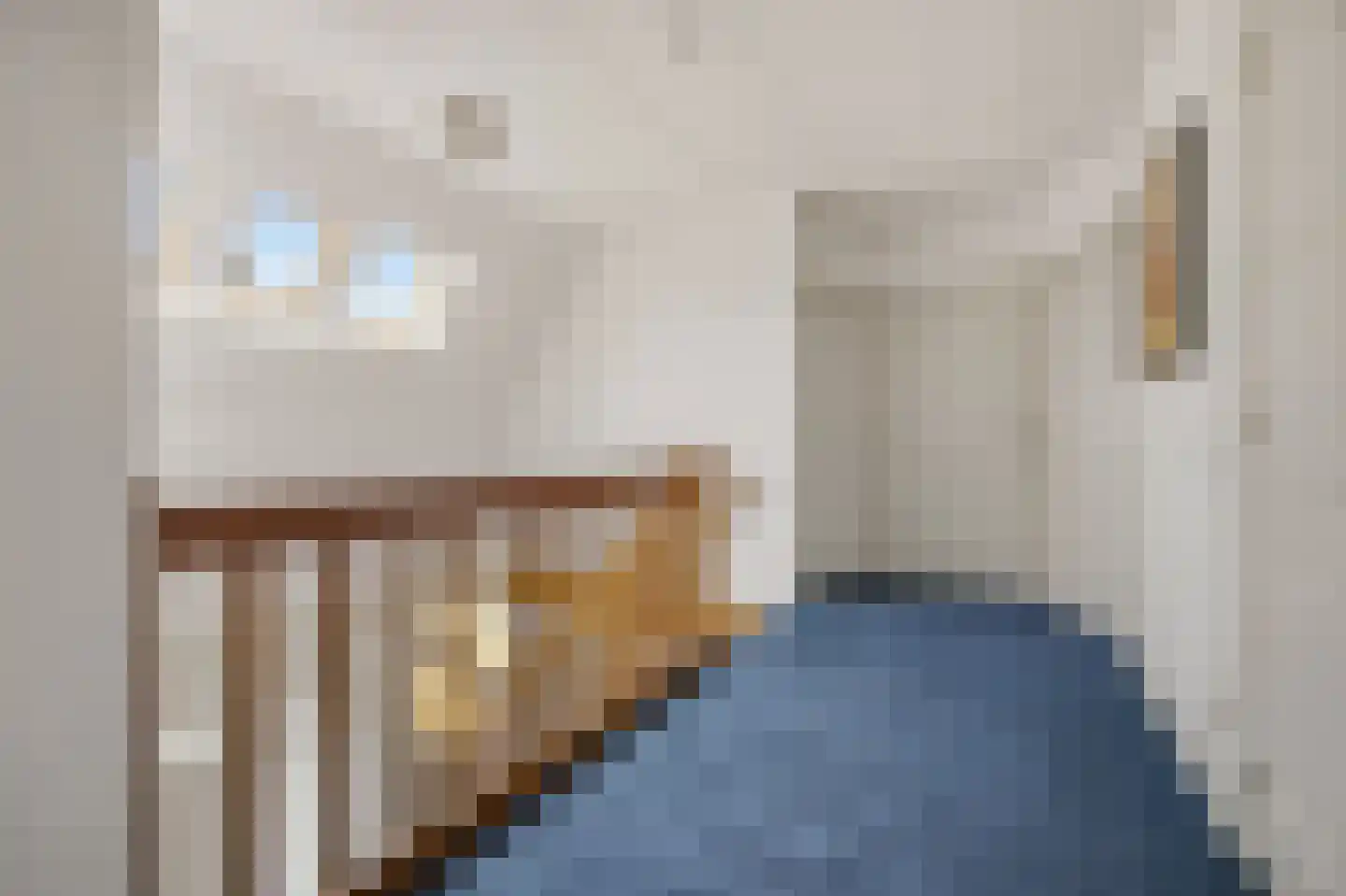 Slauerhofflaan 1 c Raamsdonksveer thumbnail 19