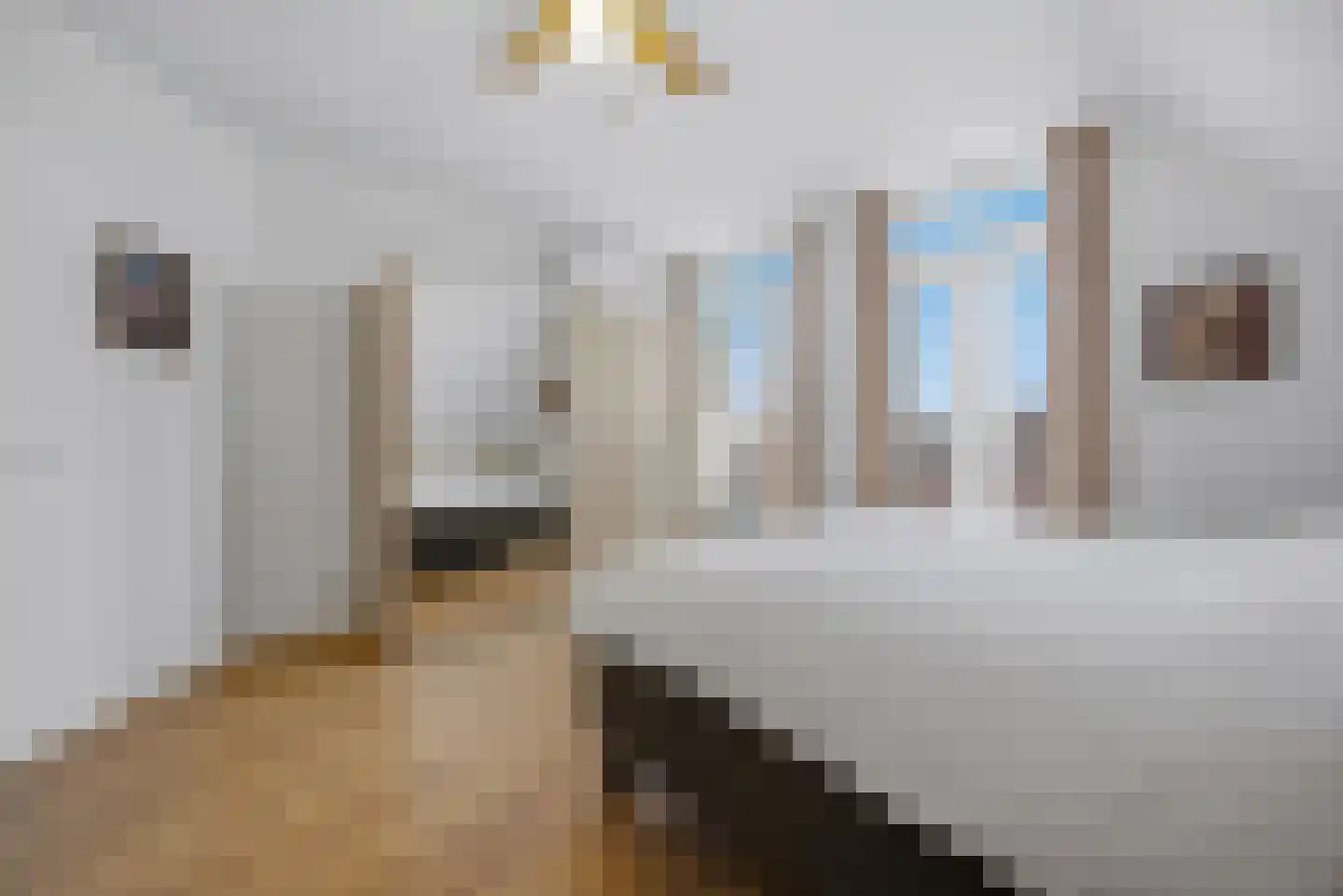 Slauerhofflaan 1 c Raamsdonksveer thumbnail 21