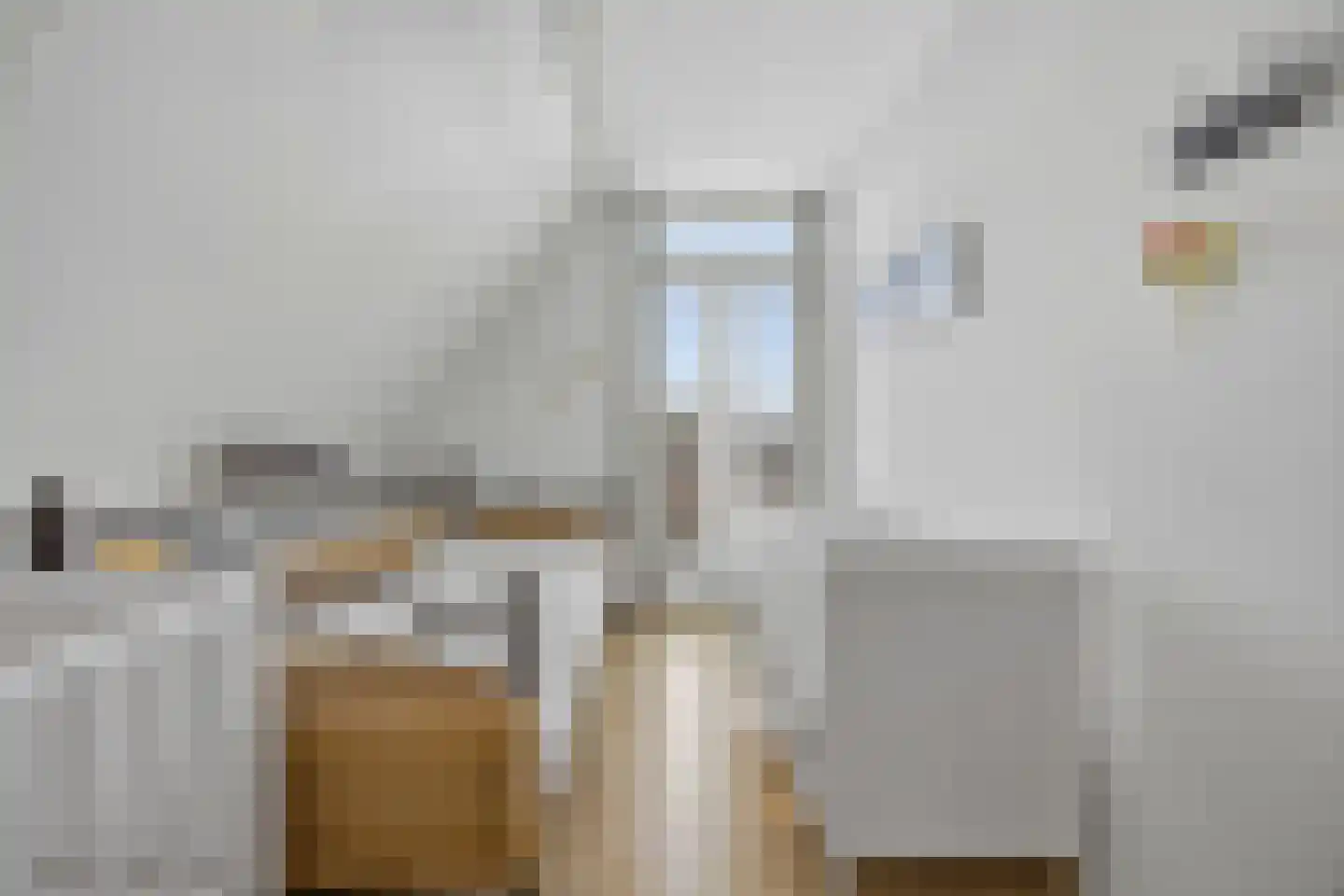 Slauerhofflaan 1 c Raamsdonksveer thumbnail 23