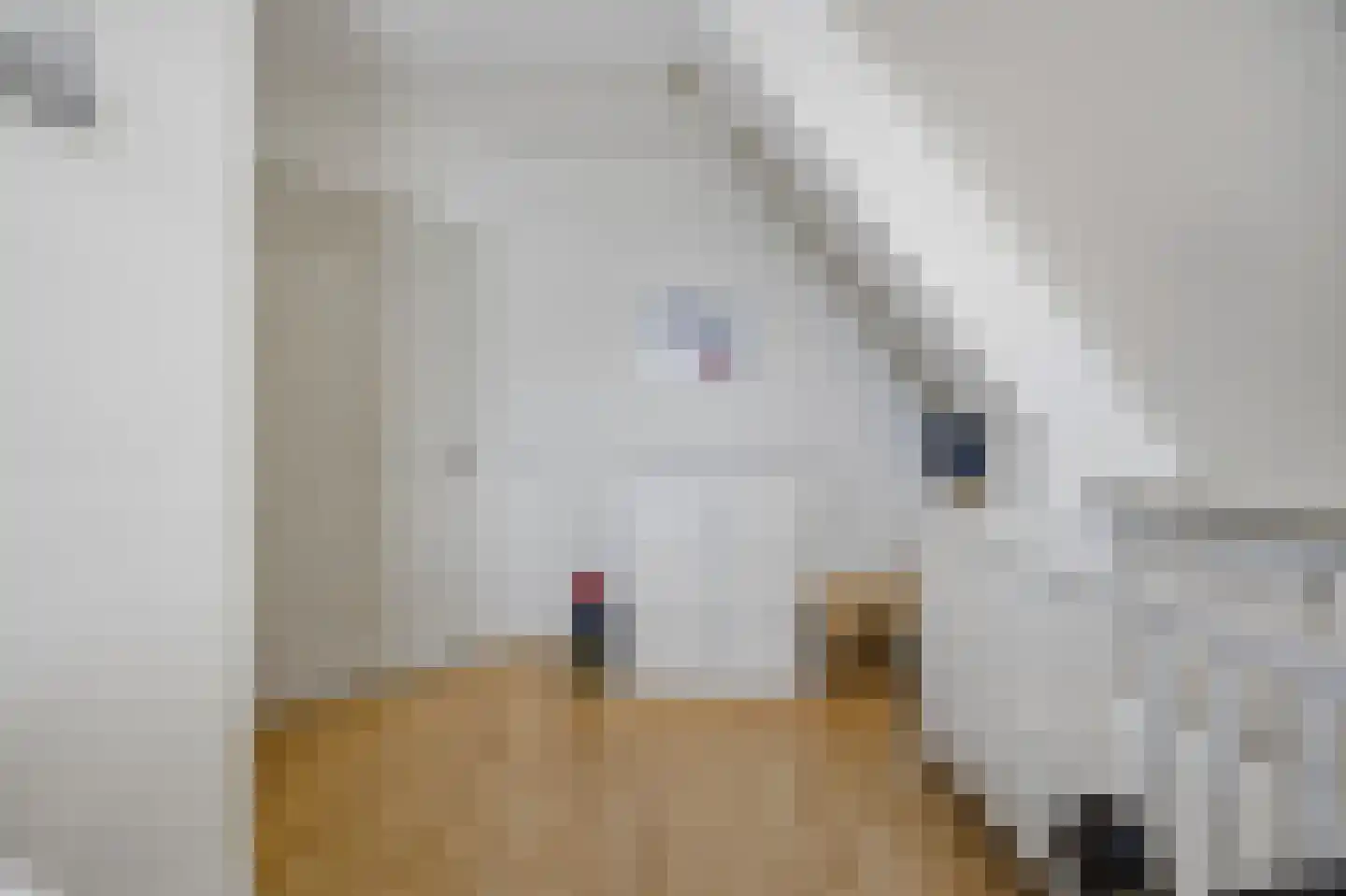 Slauerhofflaan 1 c Raamsdonksveer thumbnail 24