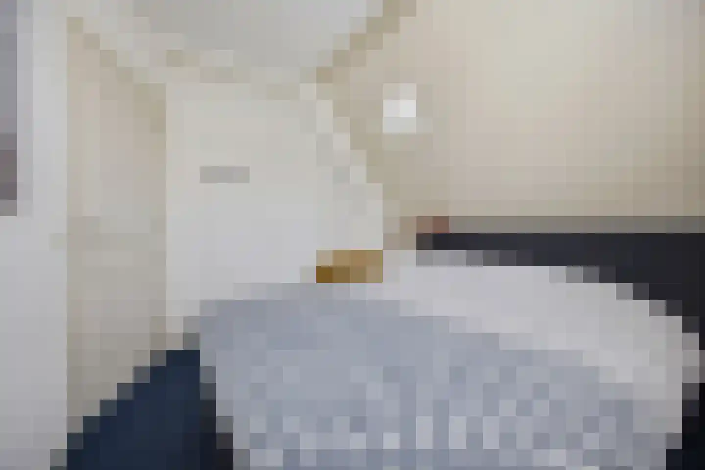 Slauerhofflaan 1 c Raamsdonksveer thumbnail 26
