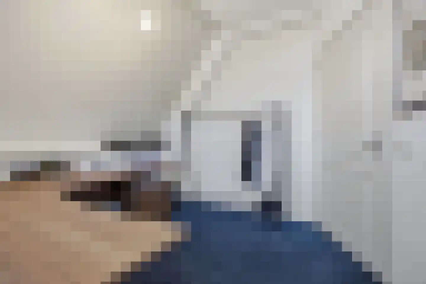 Slauerhofflaan 1 c Raamsdonksveer thumbnail 28