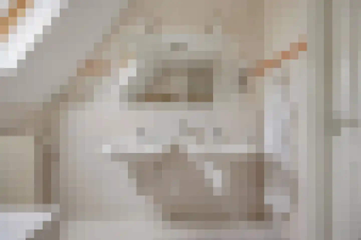 Slauerhofflaan 1 c Raamsdonksveer thumbnail 30