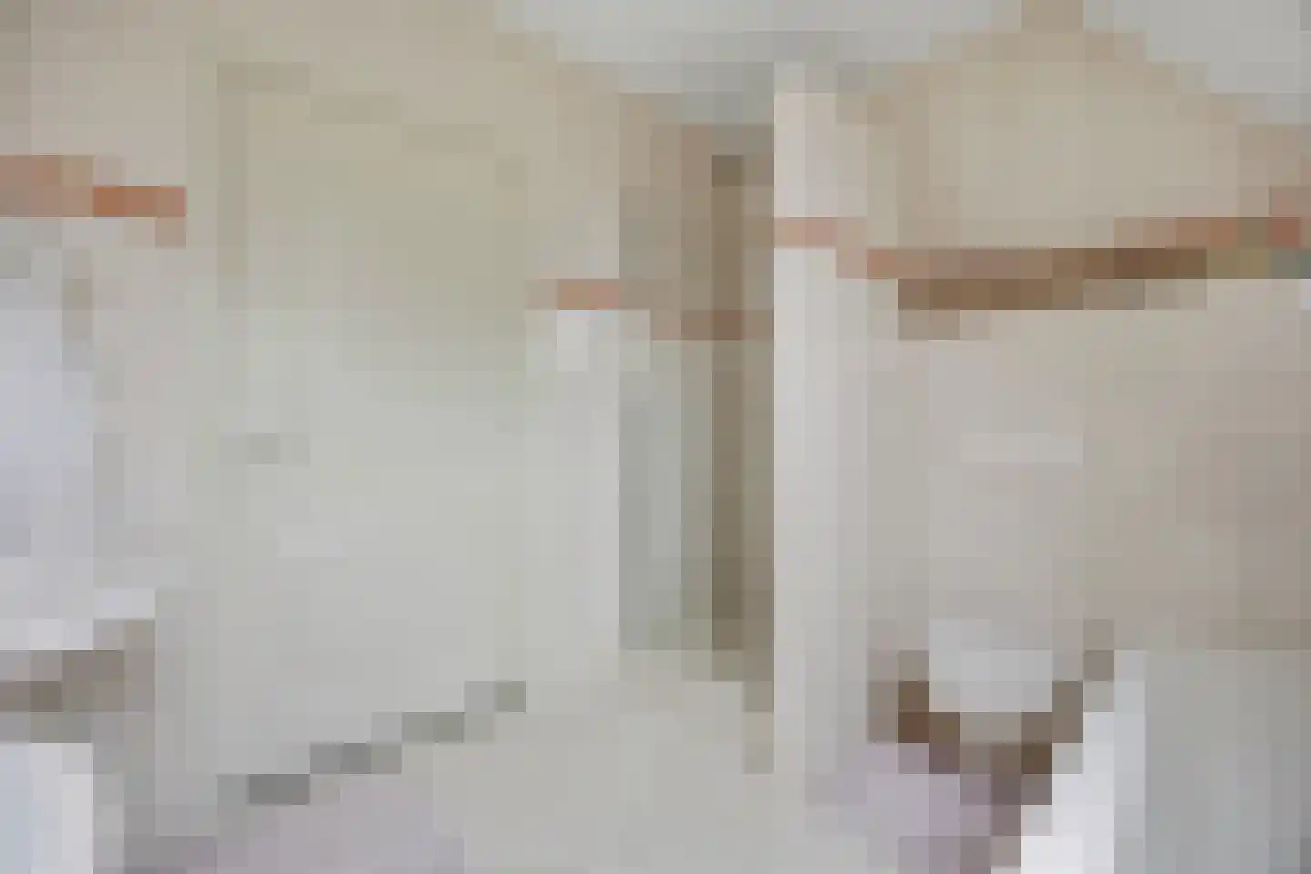 Slauerhofflaan 1 c Raamsdonksveer thumbnail 31